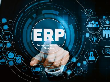 top custom erp services in pondicherry