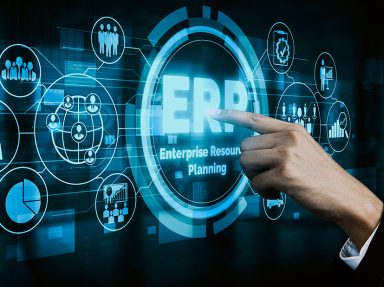 top erp service in pondicherry