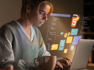 Best Web Development Company in Senji