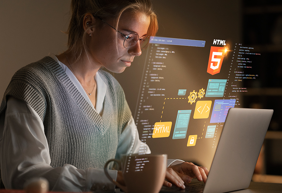 Best Web Development Company in Senji