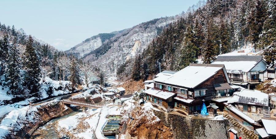 travel package websites