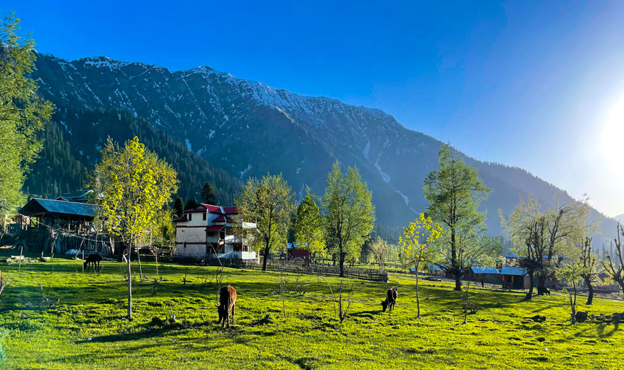 Good hotel booking sites