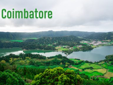 best seo companies in coimbatore